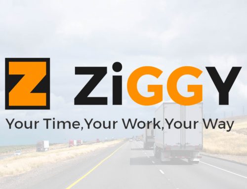 ZiGGY Jobs